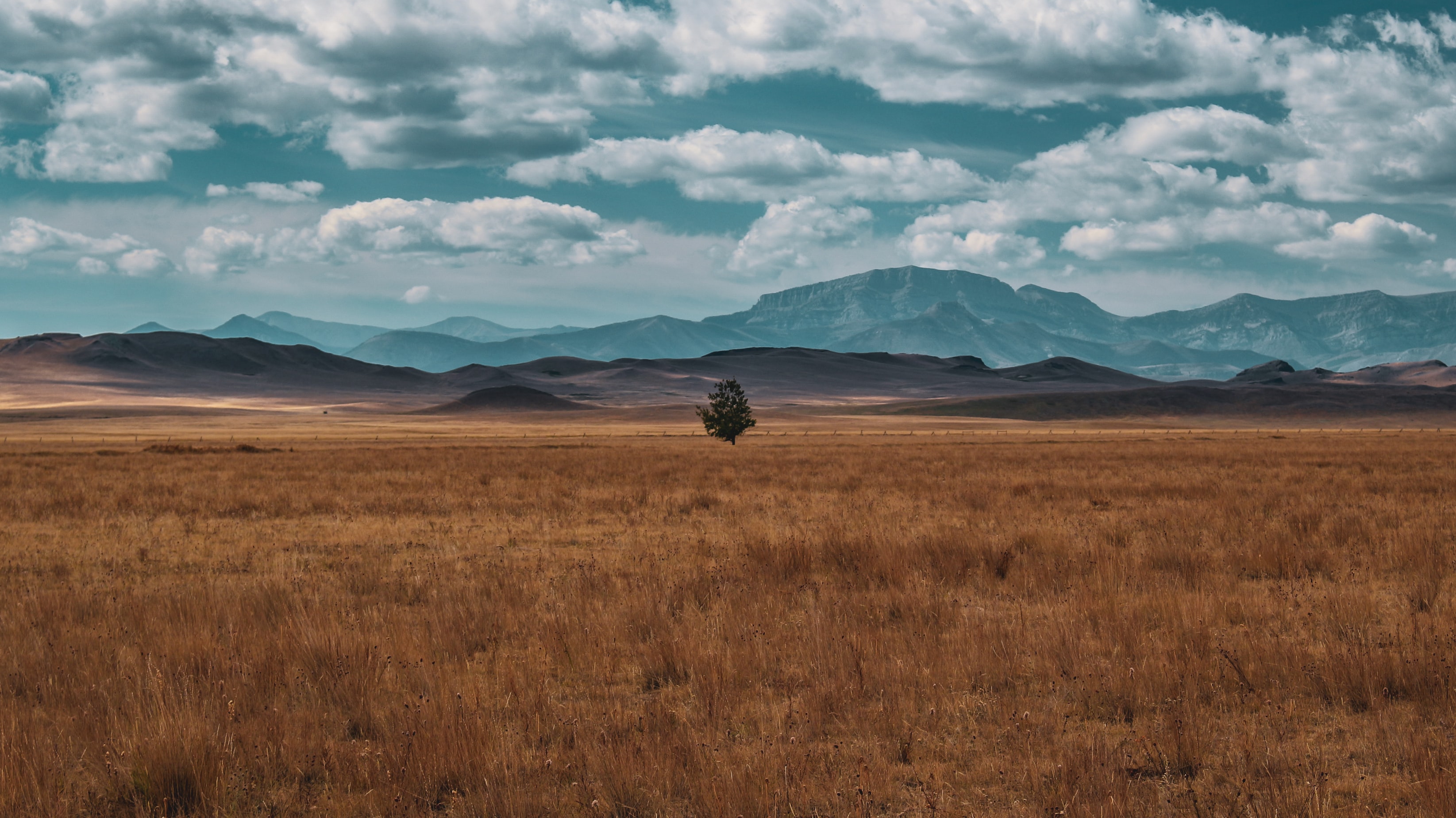 montanaplains