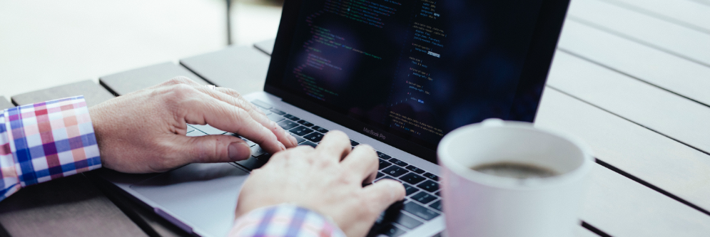 Software Developer at Primitive