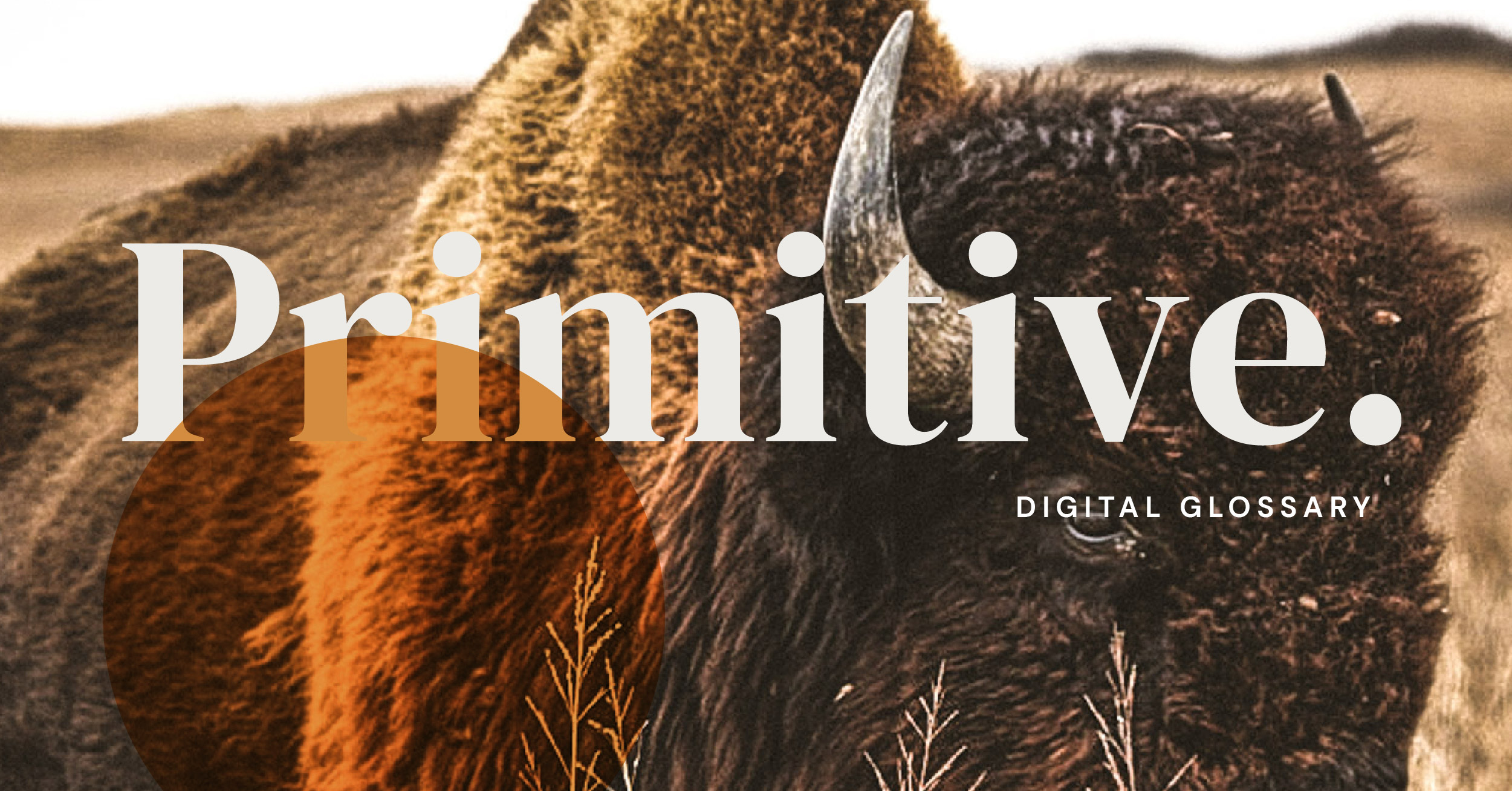 digital term glossary