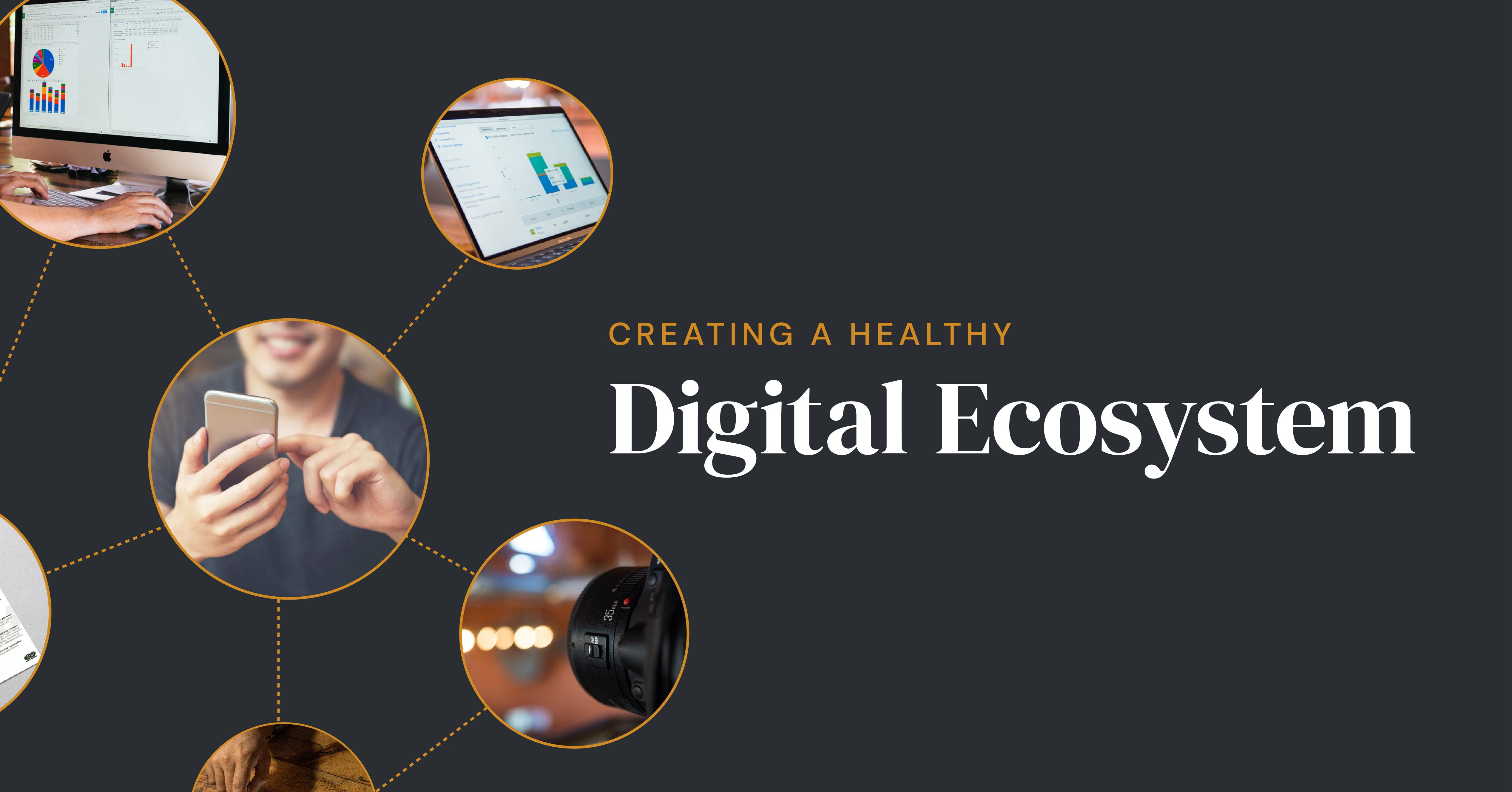 ebook-creating-a-digital-ecosystem